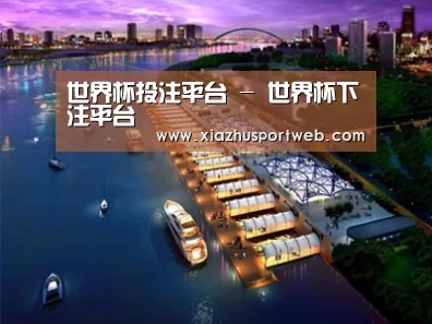 案例展示八