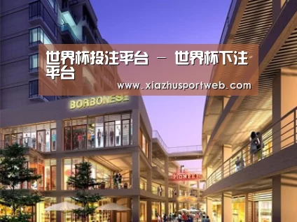 案例展示一