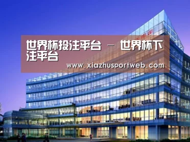 案例展示五
